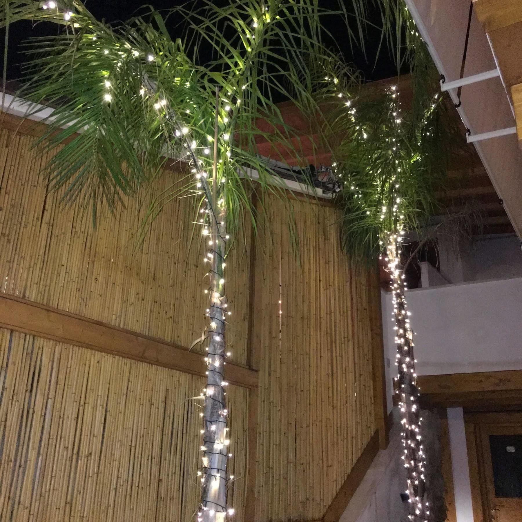 צ'יוויטווקיה Bel Sole Guest House מראה חיצוני תמונה